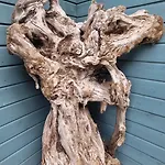 Prie Osupio * Palanga
