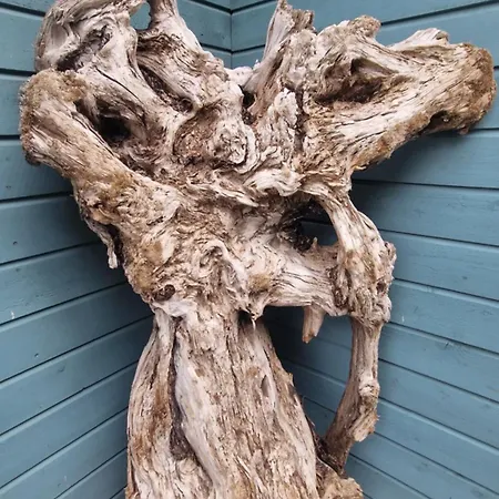 Prie Osupio * Palanga